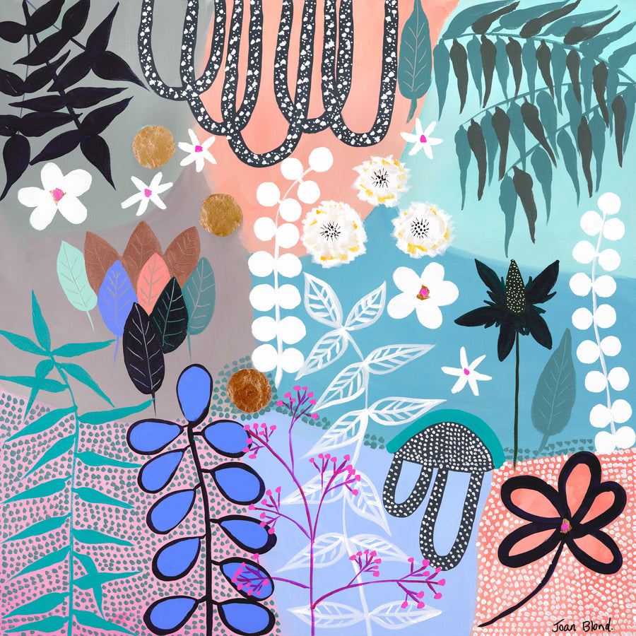 Mimosa - Exclusive Run UNFRAMED Print